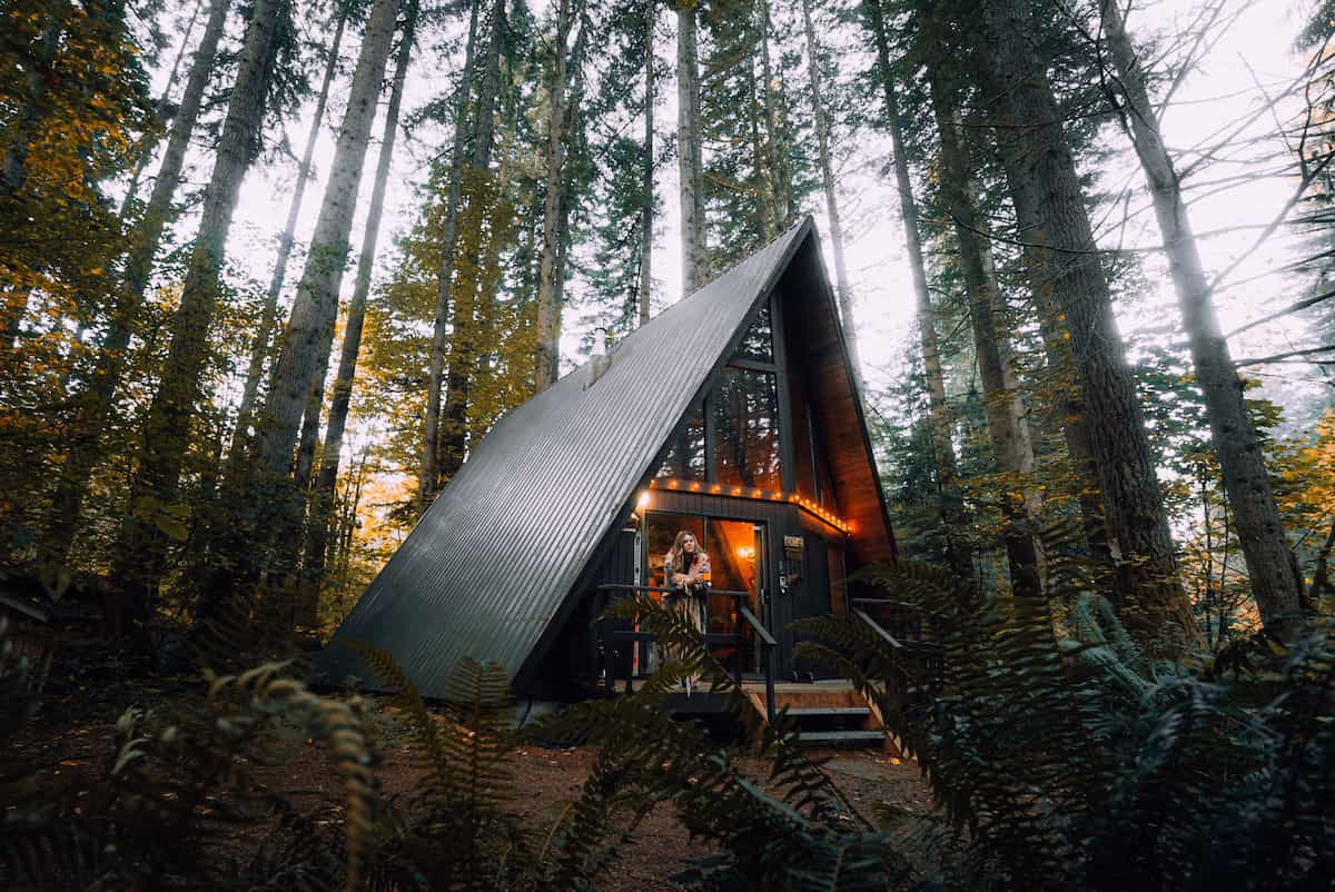 cabin in the woods